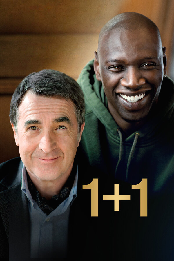 1+1 бесплатно