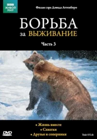 BBC: Борьба за выживание бесплатно
