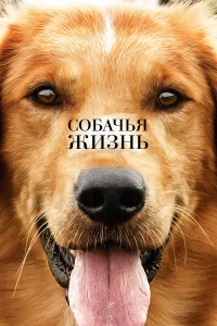 Собачья жизнь бесплатно