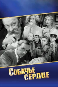 Собачье сердце бесплатно